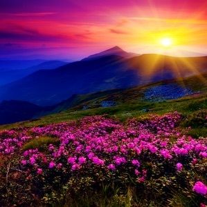 Meet your Posher, J & v